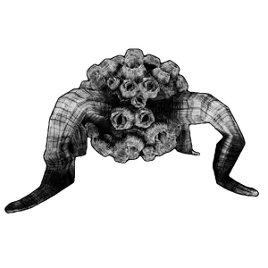 content warning-フジツボ