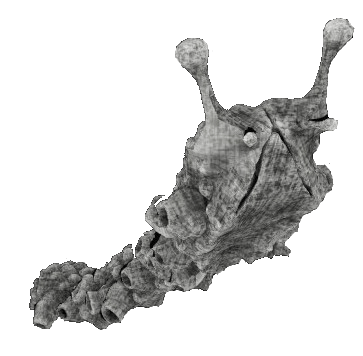 content warning-スポナー(キングナメクジ)