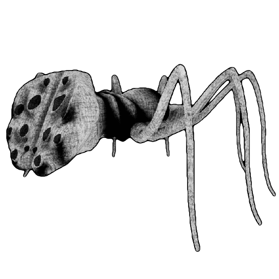 content warning-スパイダー